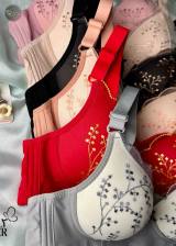 ফ্লোরাল লার্জ সাইজ ওমেন্স পুশ আপ ব্রা — back view